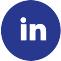 Linkedin Icon